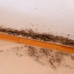 Mold in the corner of the white ceiling and warm color wall